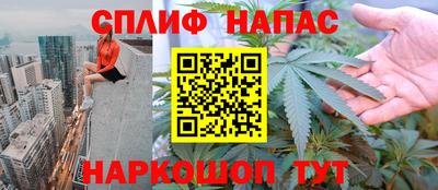 молекула духа Берёзовский
