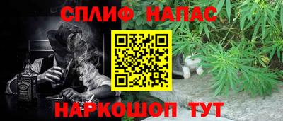 гидропоника Бийск